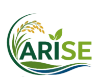 arise_logo
